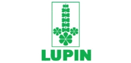 16.webp logo